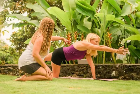 trainer image from gallery