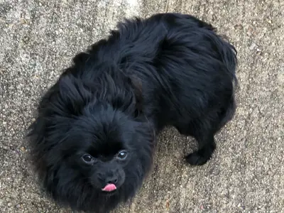 trainer image from gallery