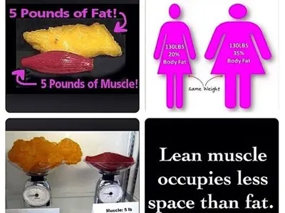 trainer image from gallery