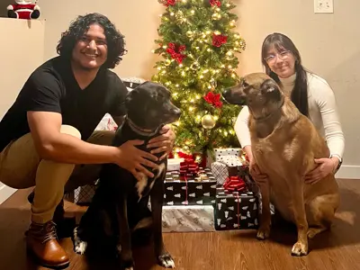 trainer image from gallery