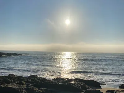 trainer image from gallery