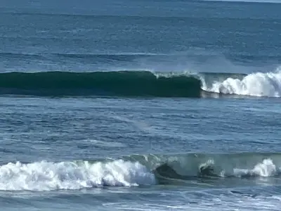 trainer image from gallery