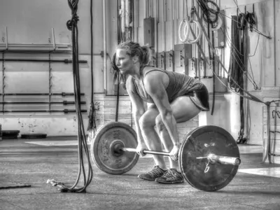 trainer image from gallery